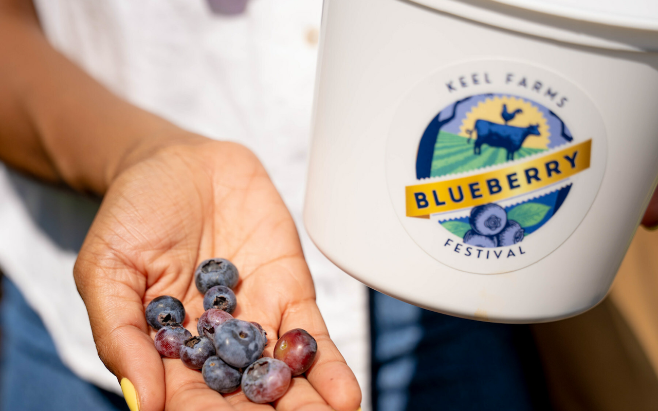 Keel Farms Blueberry Festival 2024